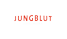 Logo Jungblut Sportwagen GmbH